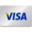 Visa Logo